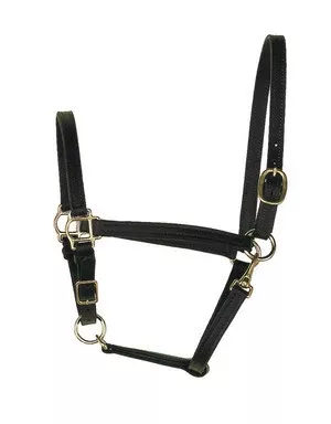 1" Leather Draft Turnout Halter
