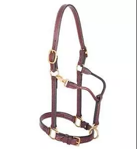 1" Leather Track Small Halter