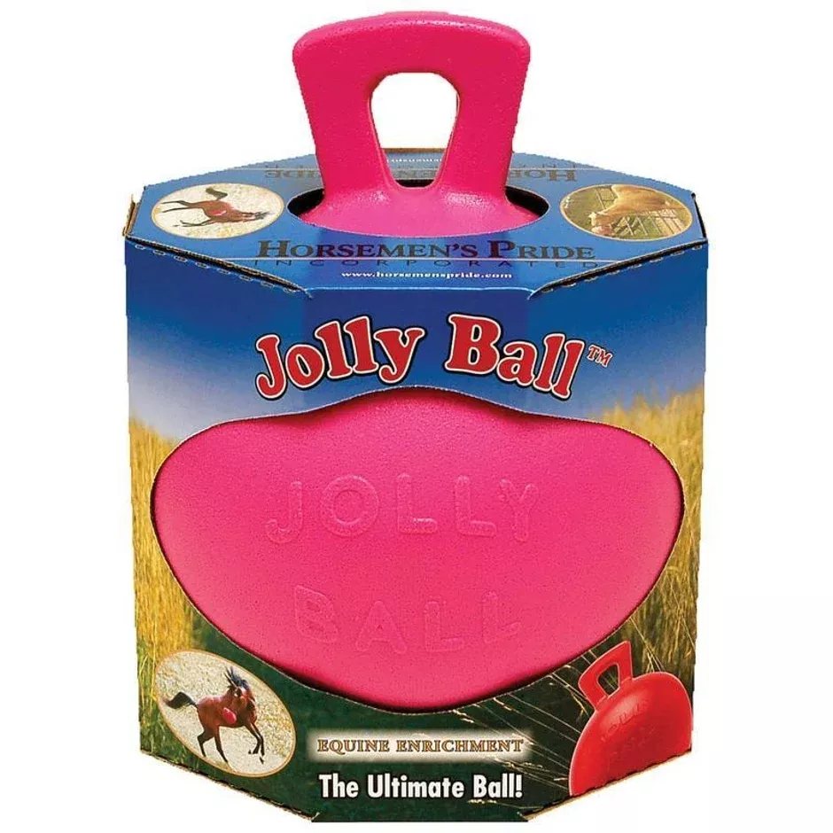 10" Jolly Ball Toy