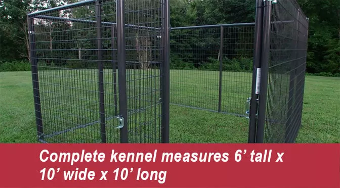 10' x 10' Heavy Duty Dog Kennel