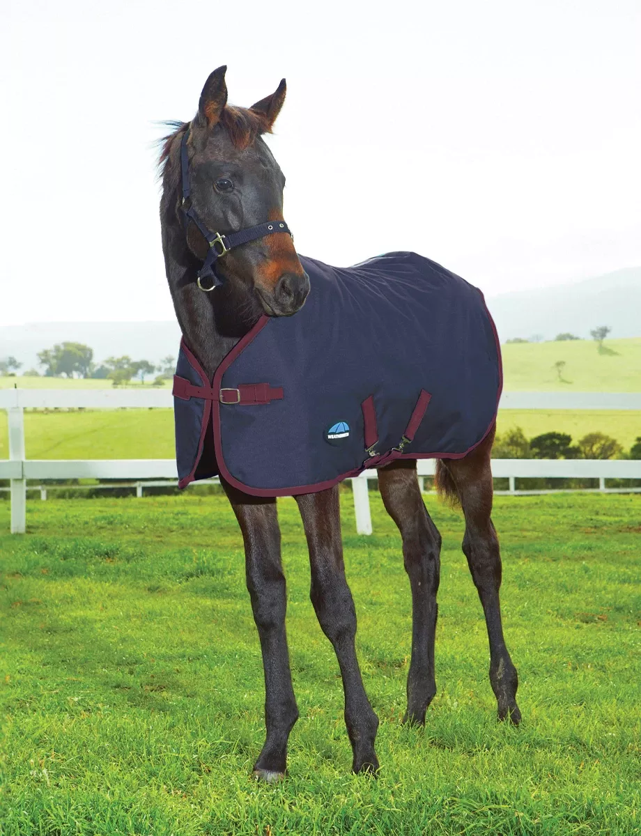 1200D Foal Standard Neck 220G