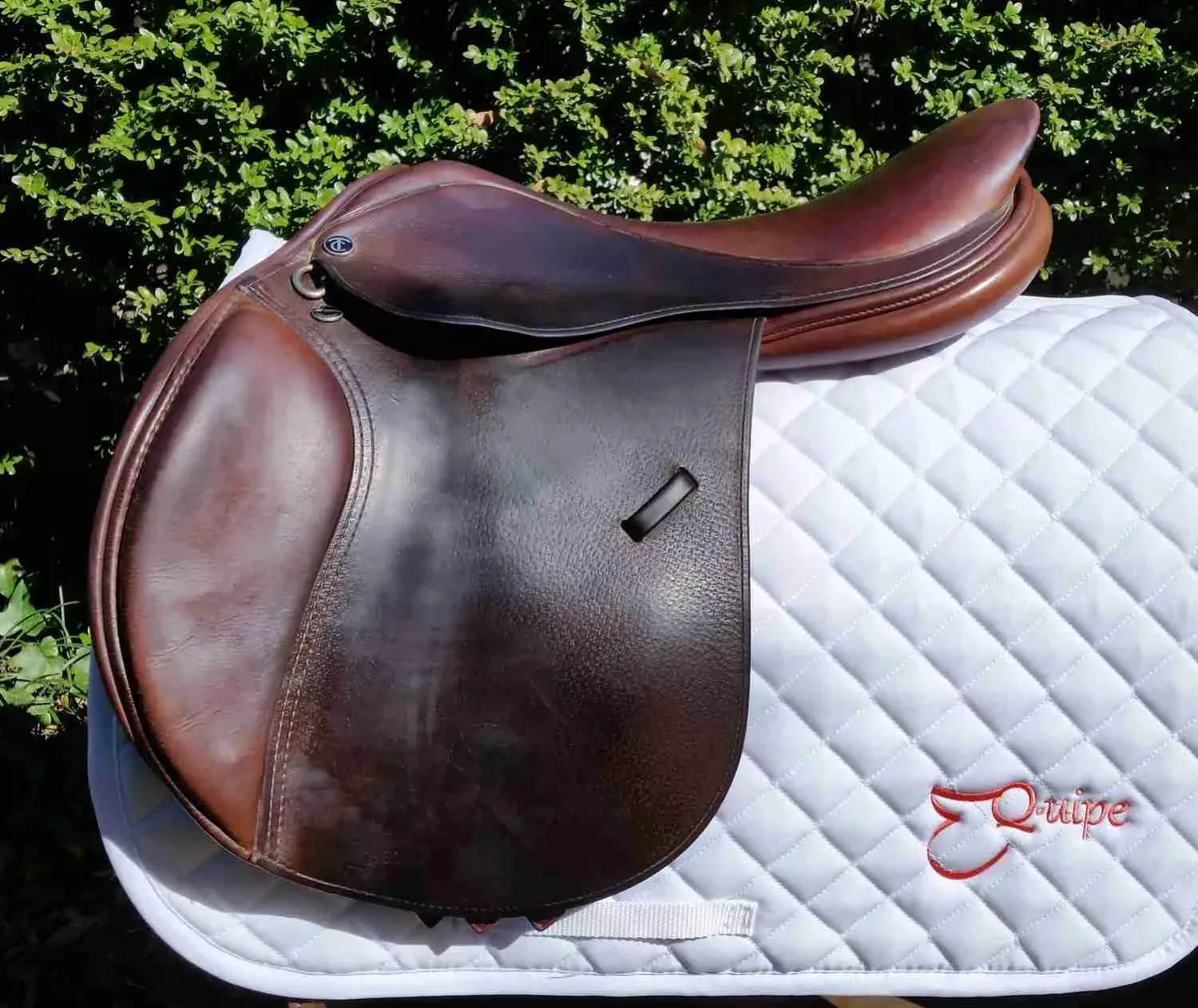 17″ Tad Coffin A5G Medium Tree Used Close Contact Saddle – C