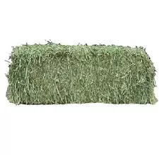 2-String Steamed Orchard/Alfalfa Mix Hay