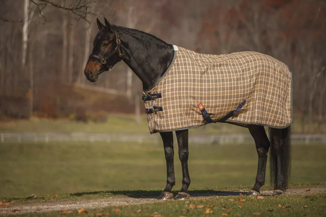 5/A Baker Deluxe Stable Sheet