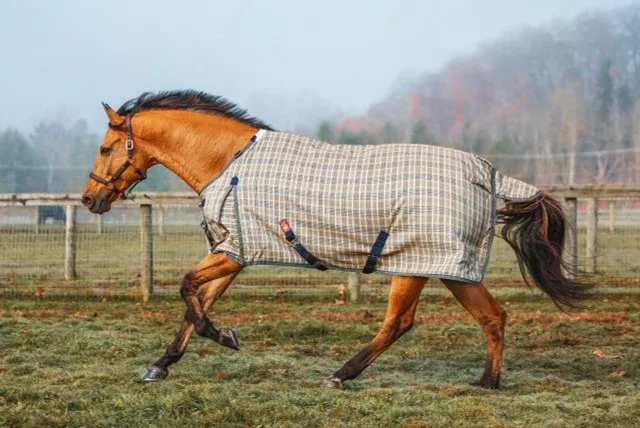 5/A Baker Heavy Weight Turnout Blanket 400 Gram