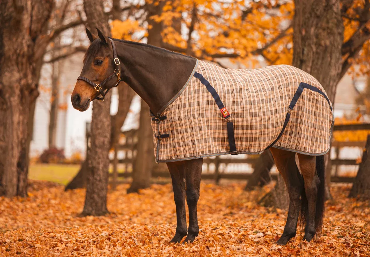 5/A Baker Stable Sheet