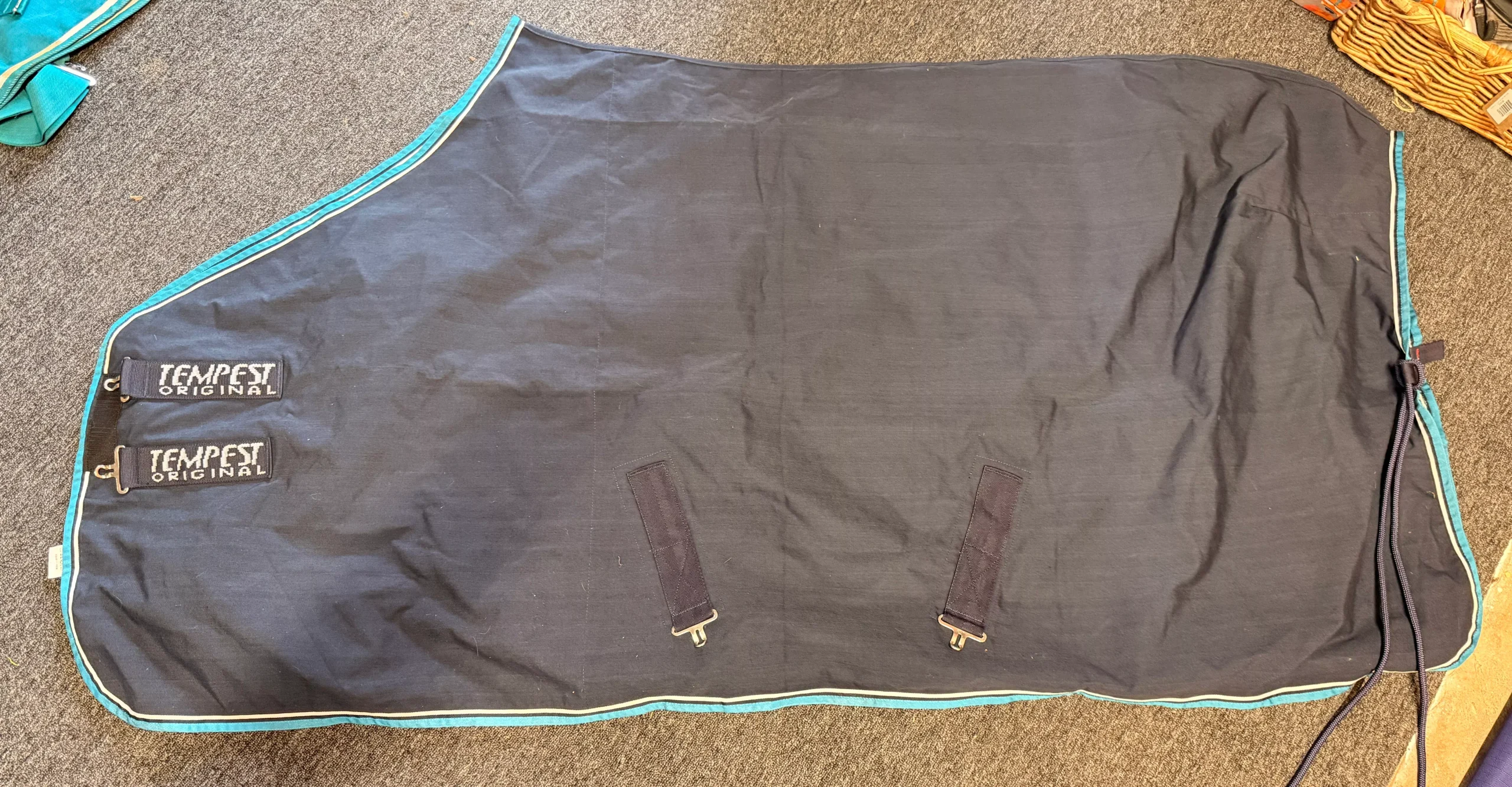 69" Tempest Shire Stable Sheet