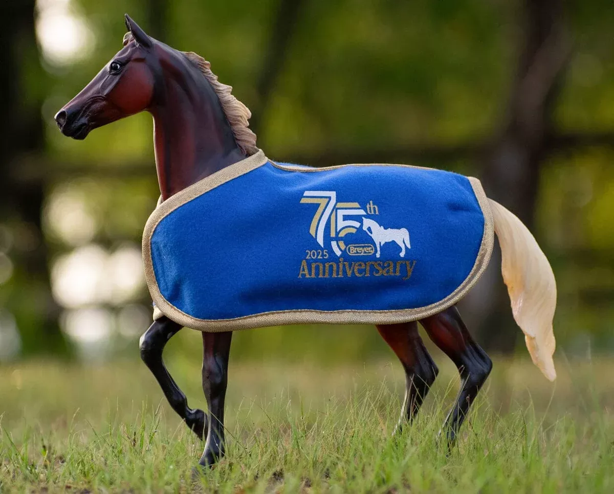 75th Anniversary Horse Blanket - Blue