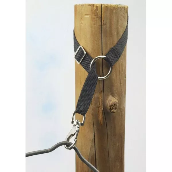 ADJUSTABLE BUCKET HANGER