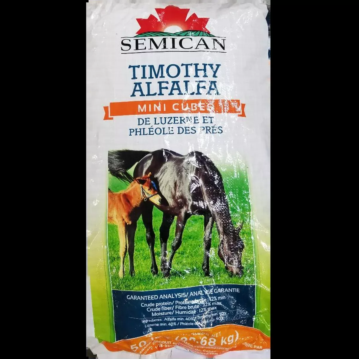 Alfalfa Timothy Mini Hay Cubes