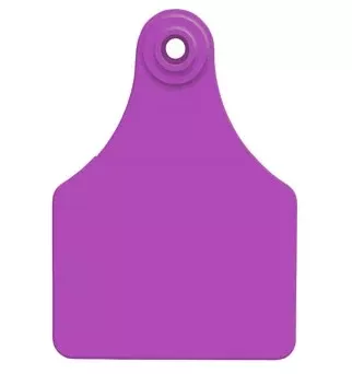 All Flex Blank Large Female Tags, Purple