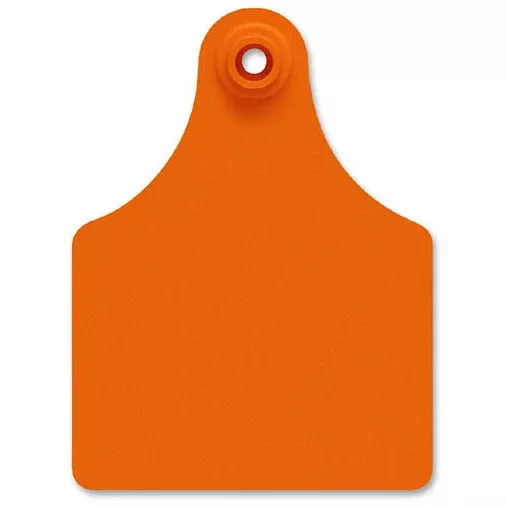 All Flex Blank Maxi Female Tags, Orange