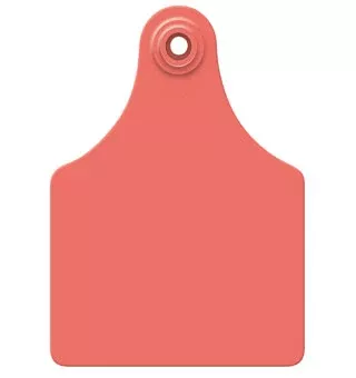 All Flex Blank Maxi Female Tags, Red