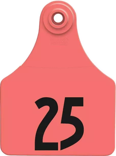 All Flex Maxi Female Tags, Red, #1-25