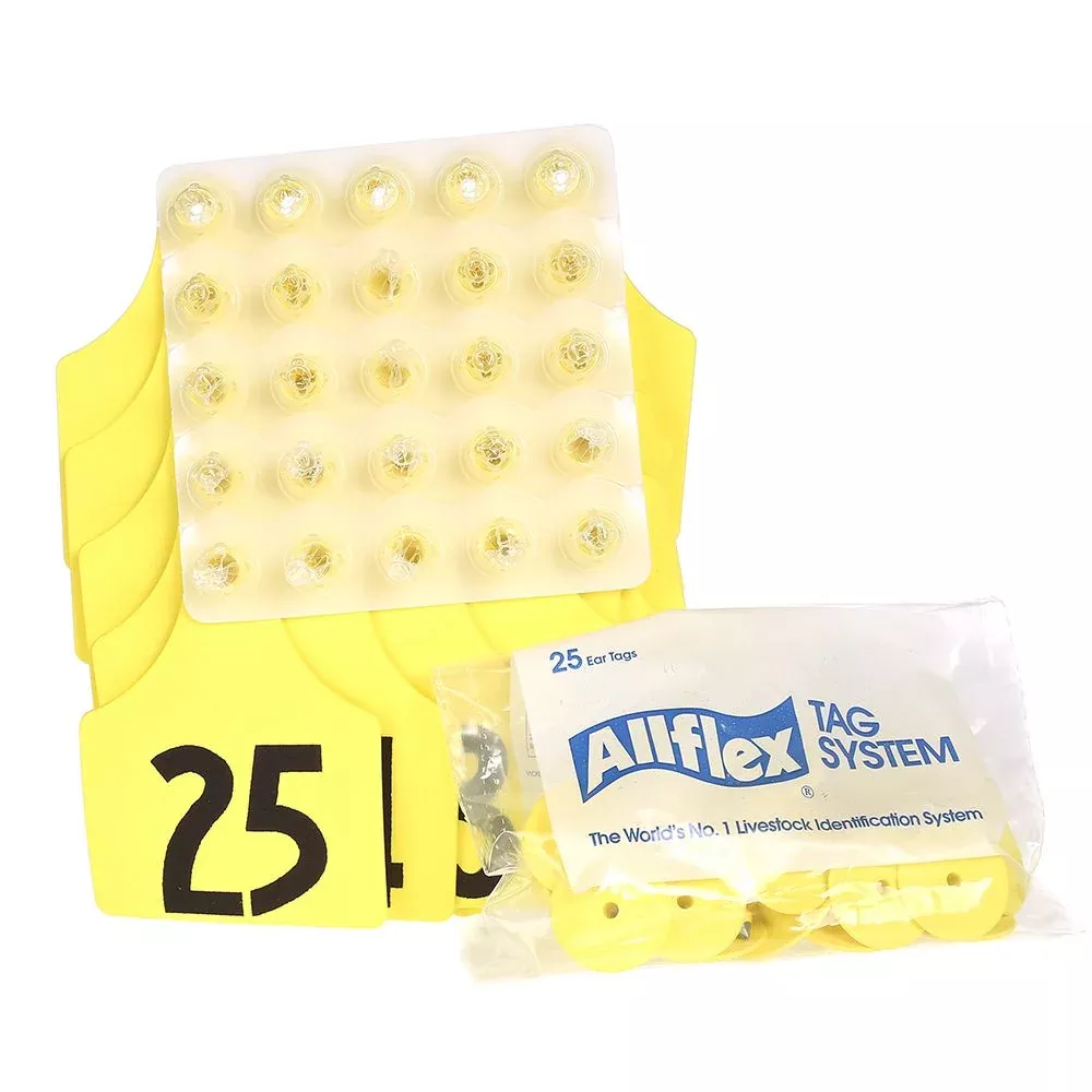 All Flex Maxi Female Tags, Yellow, #1-25