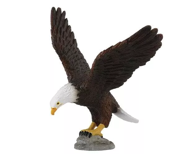 American Bald Eagle