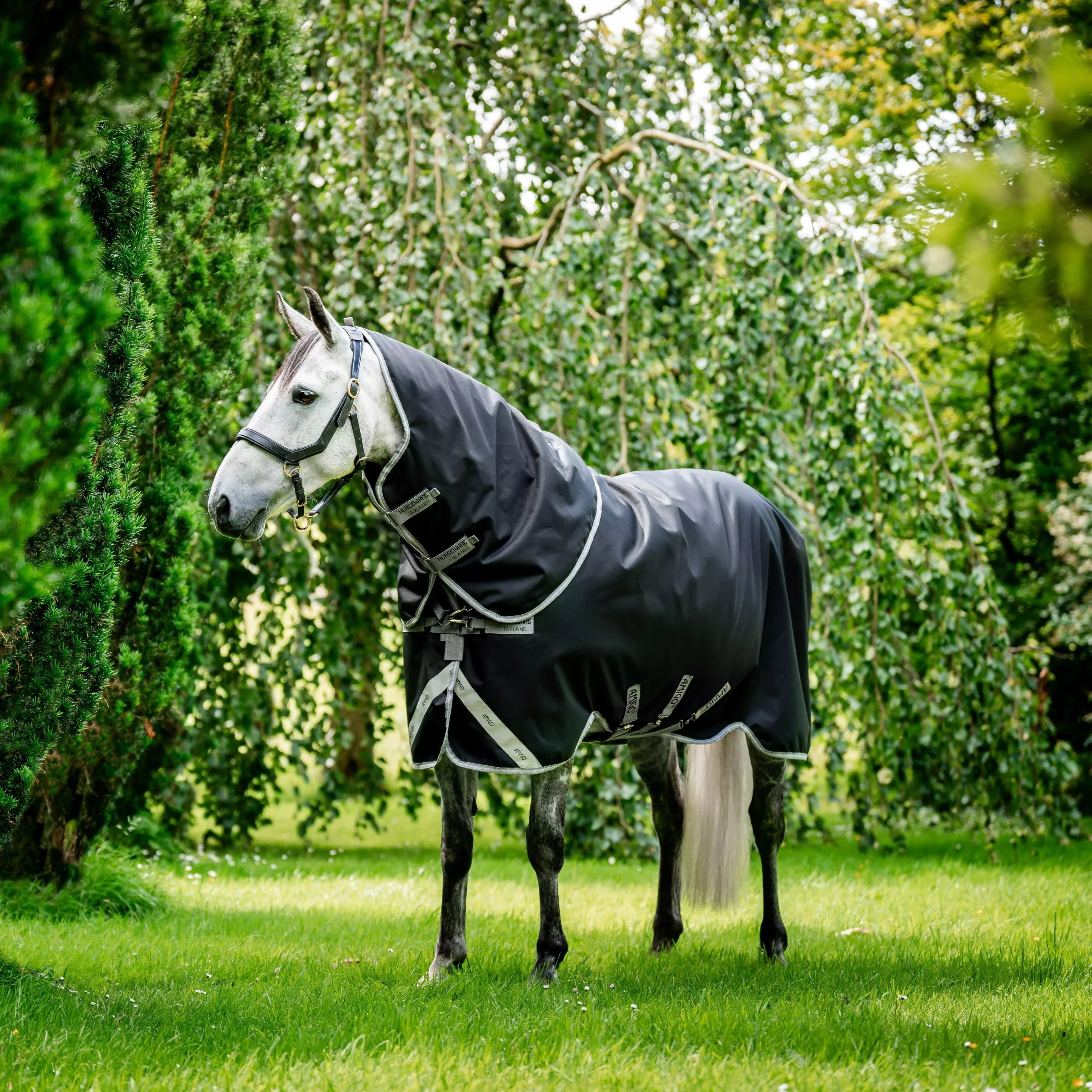 Amigo 1200D Plus Turnout Detach-A-Neck