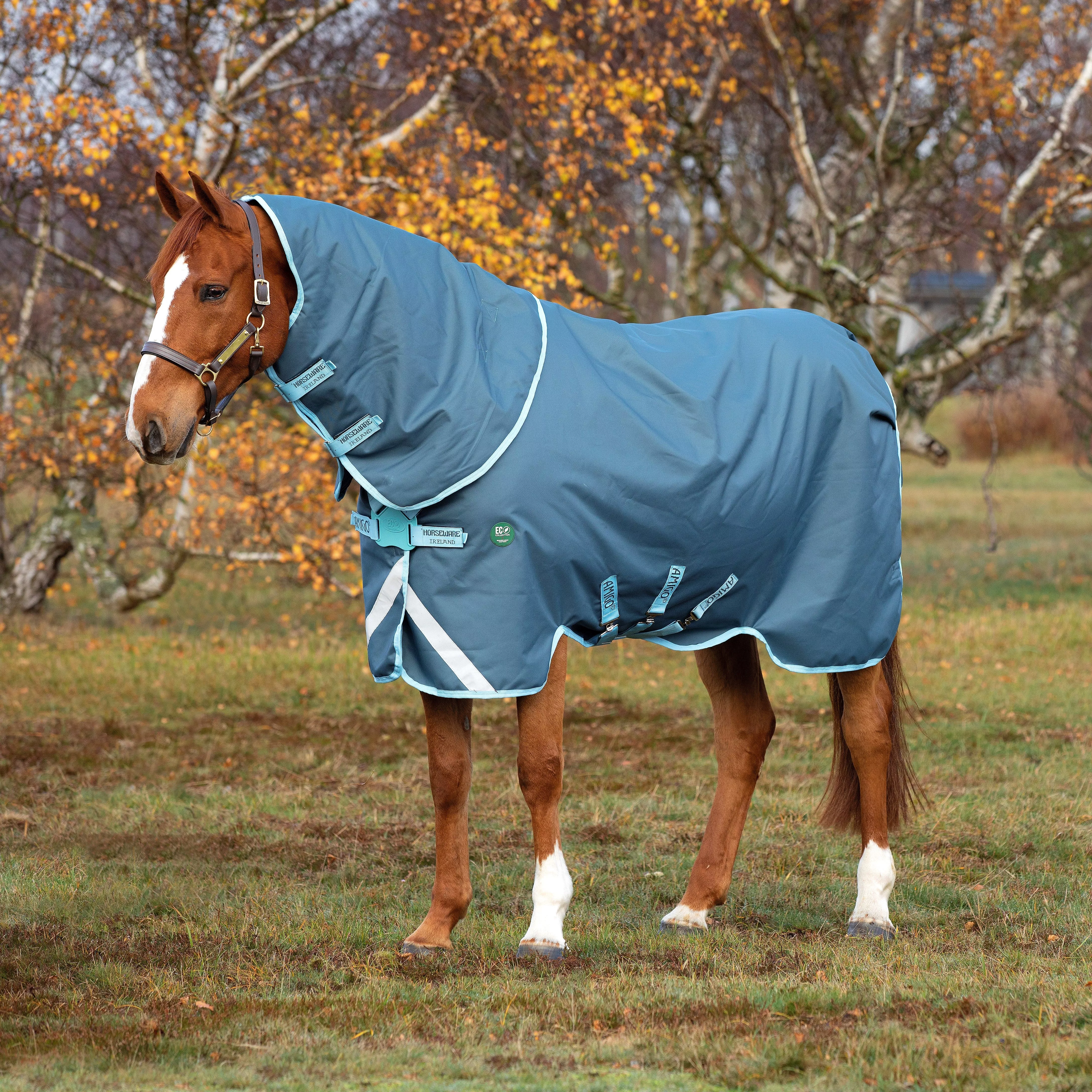 Amigo AmEco Plus 250g Combo Rug