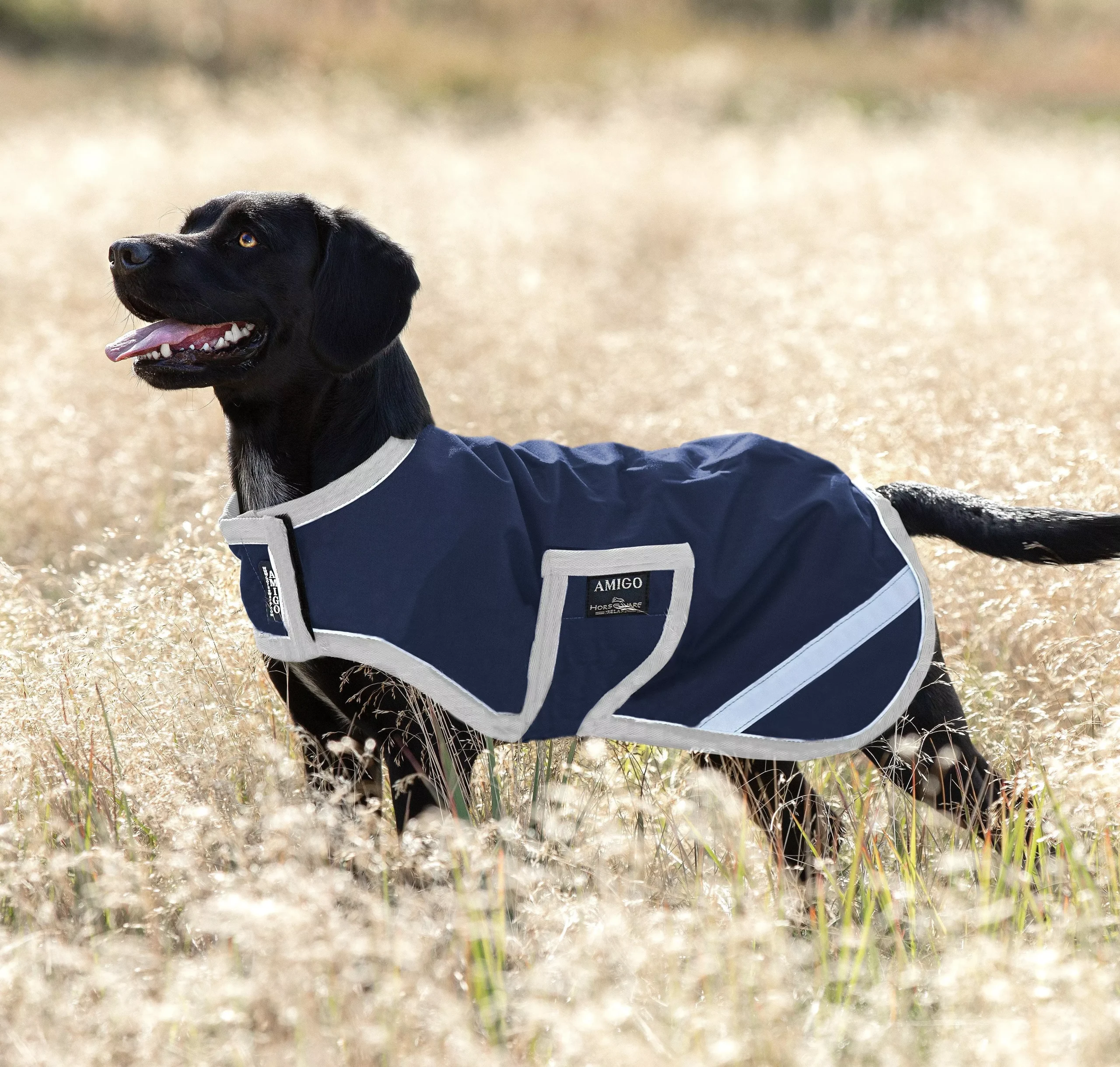 Amigo Dog Rug Ripstop