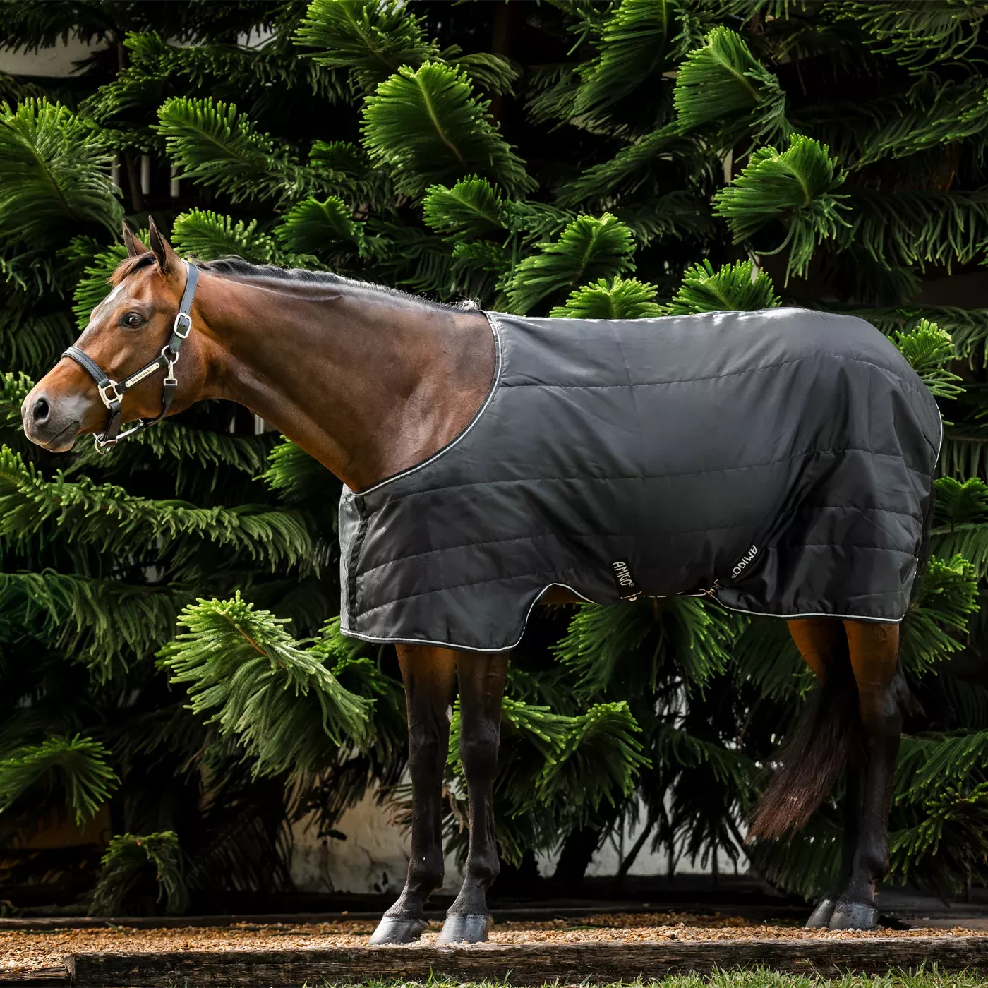 Amigo Quarter Horse Stable Blanket 200 g