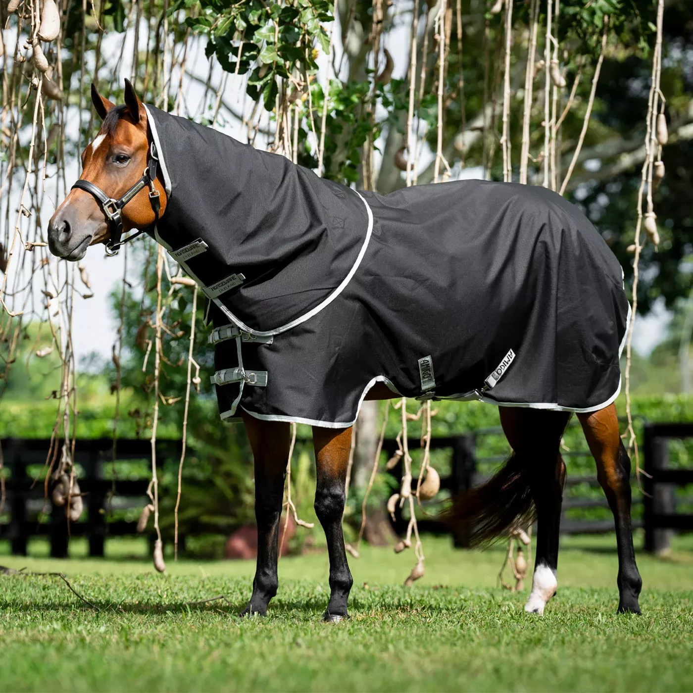 Amigo Ripstop Quarter Horse Plus Turnout Blanket 100 g
