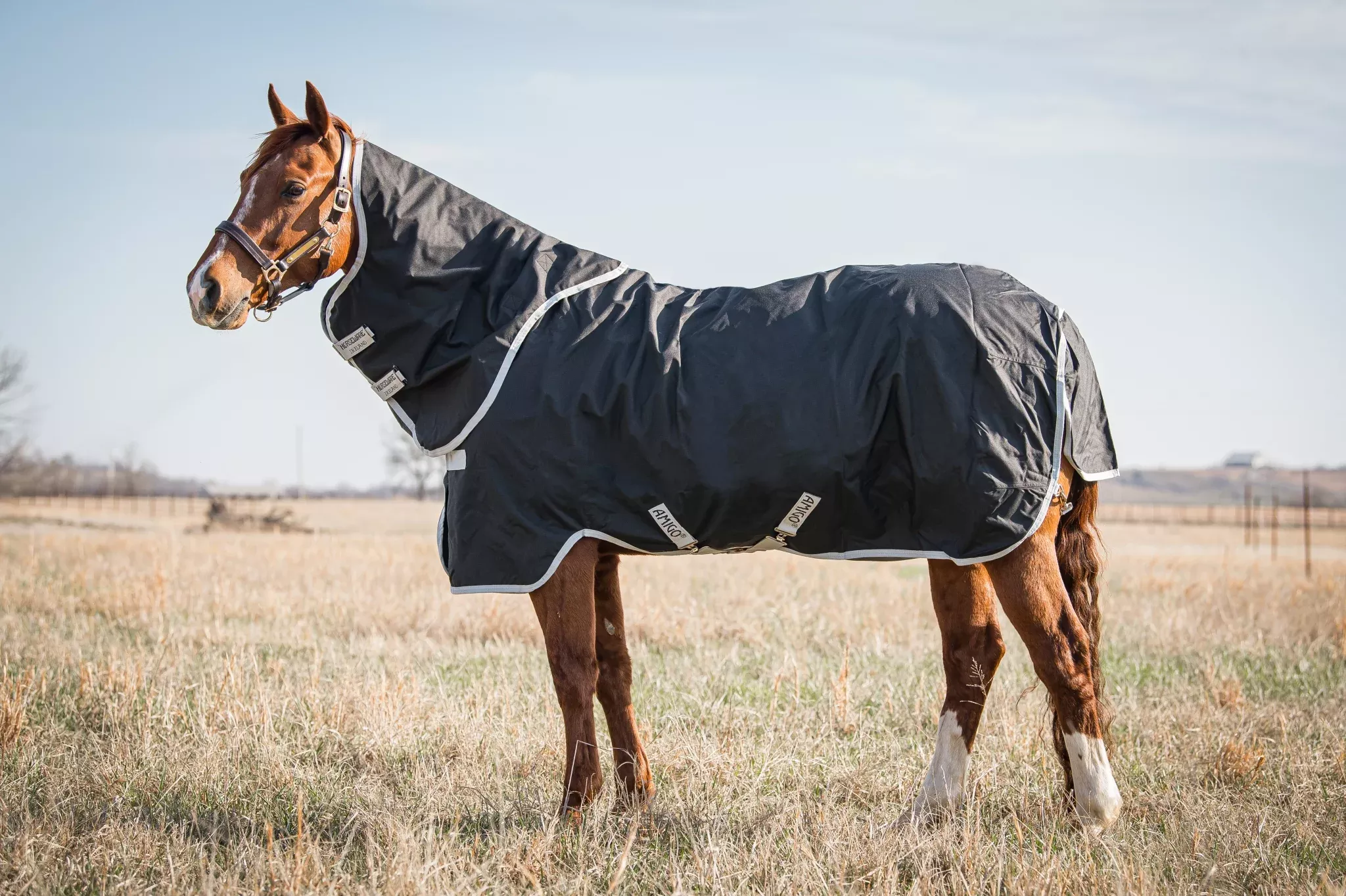 Amigo Stock Horse Plus Turnout (0g Lite)