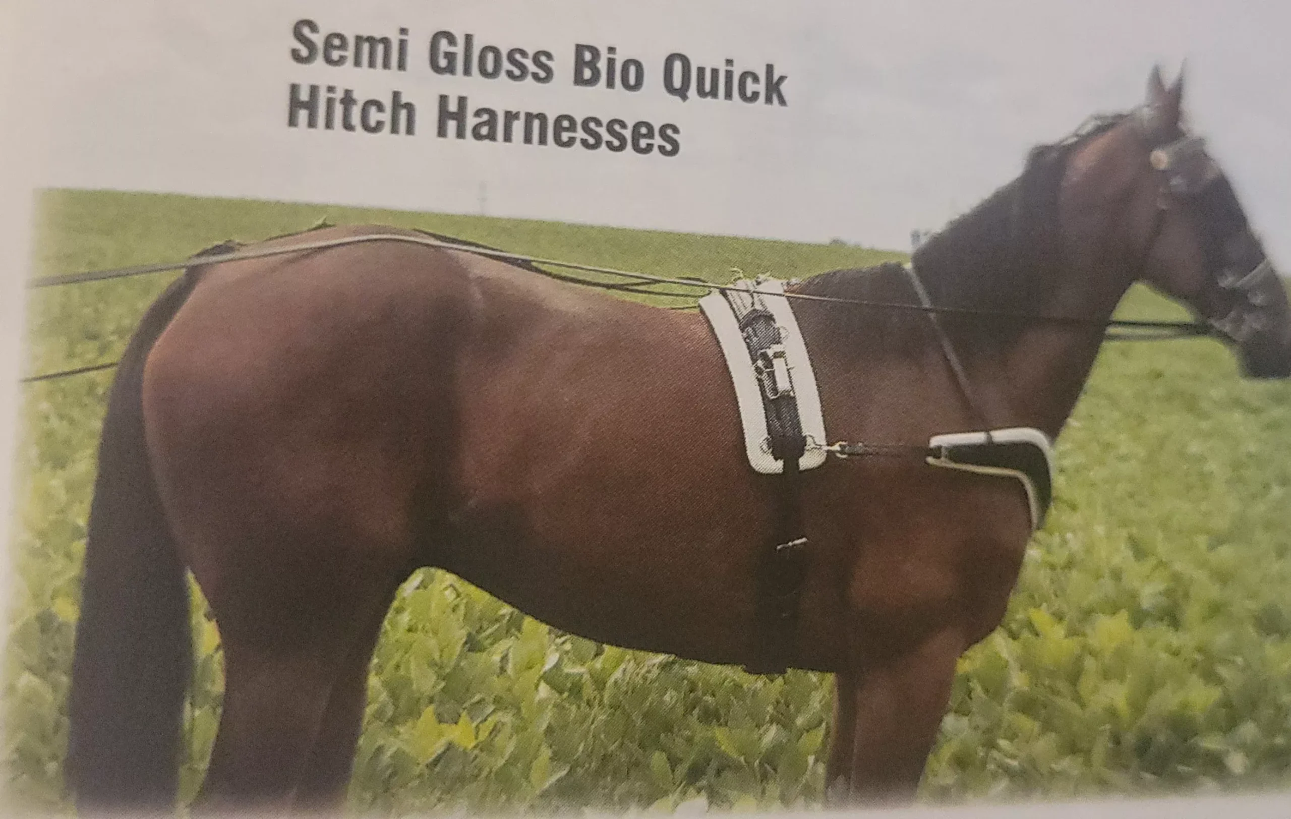 Amish made quick-hitch training harness