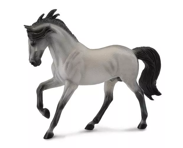 Andalusian Stallion | Grey