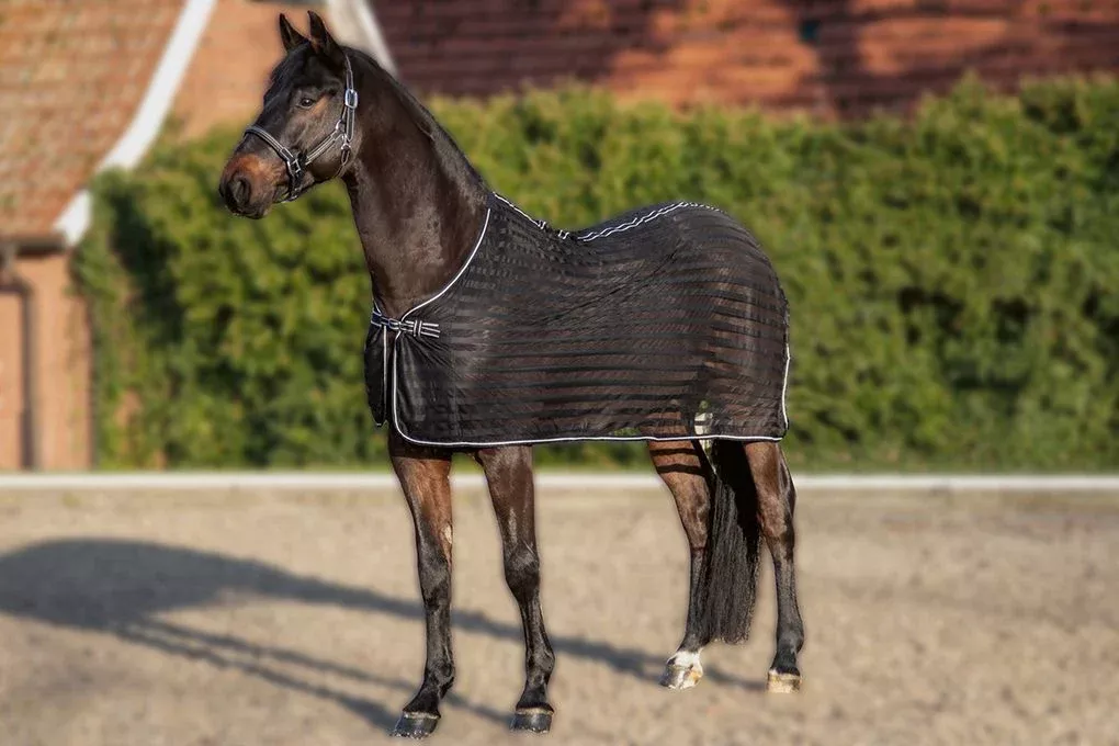 Anti Fly Sheet