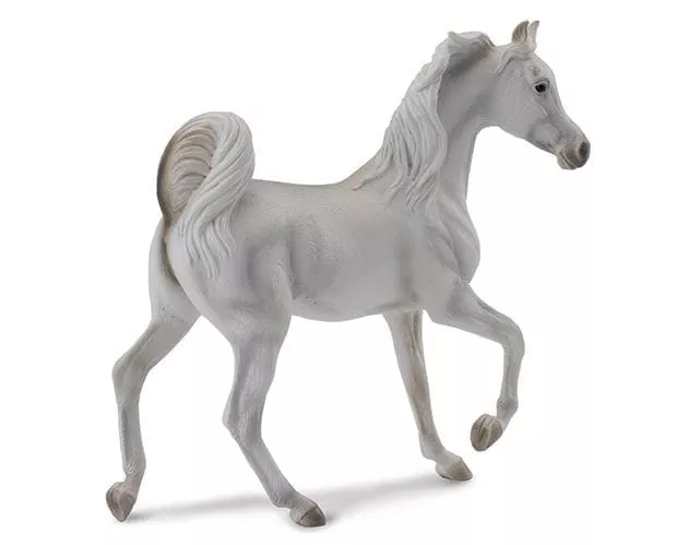Arabian Mare | Grey