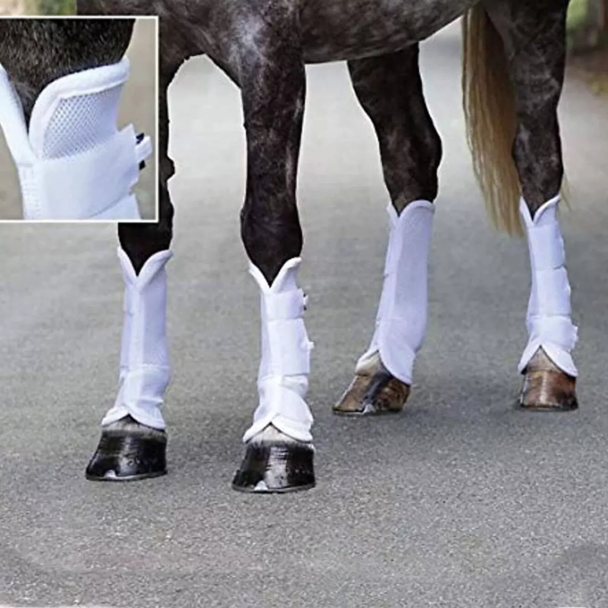 Arma Airflow Turnout Fly Boot