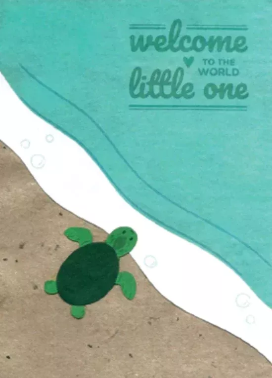 Baby Turtle Congrats
