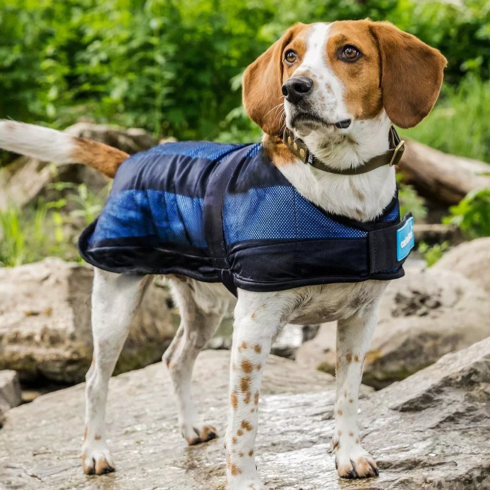 Back on Track Dog Cooling Coat