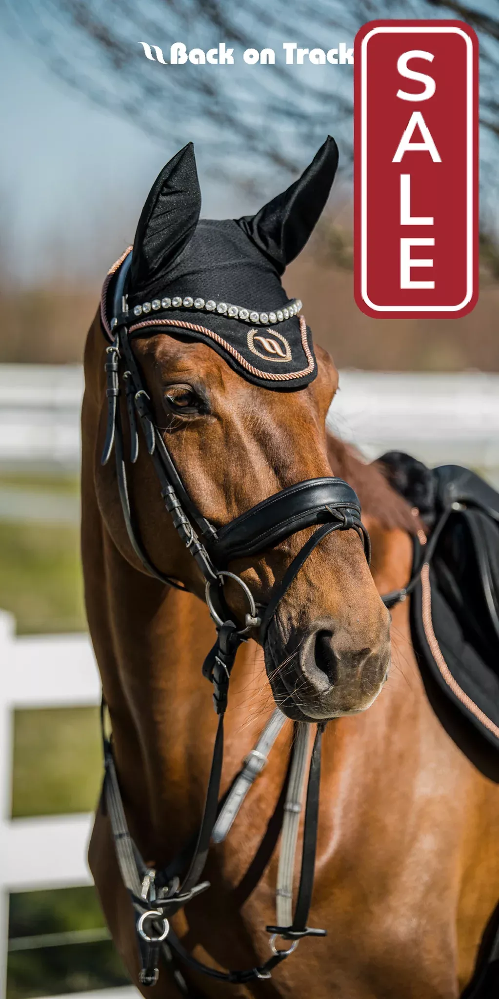 Back on Track Haze Collection Ear Nets