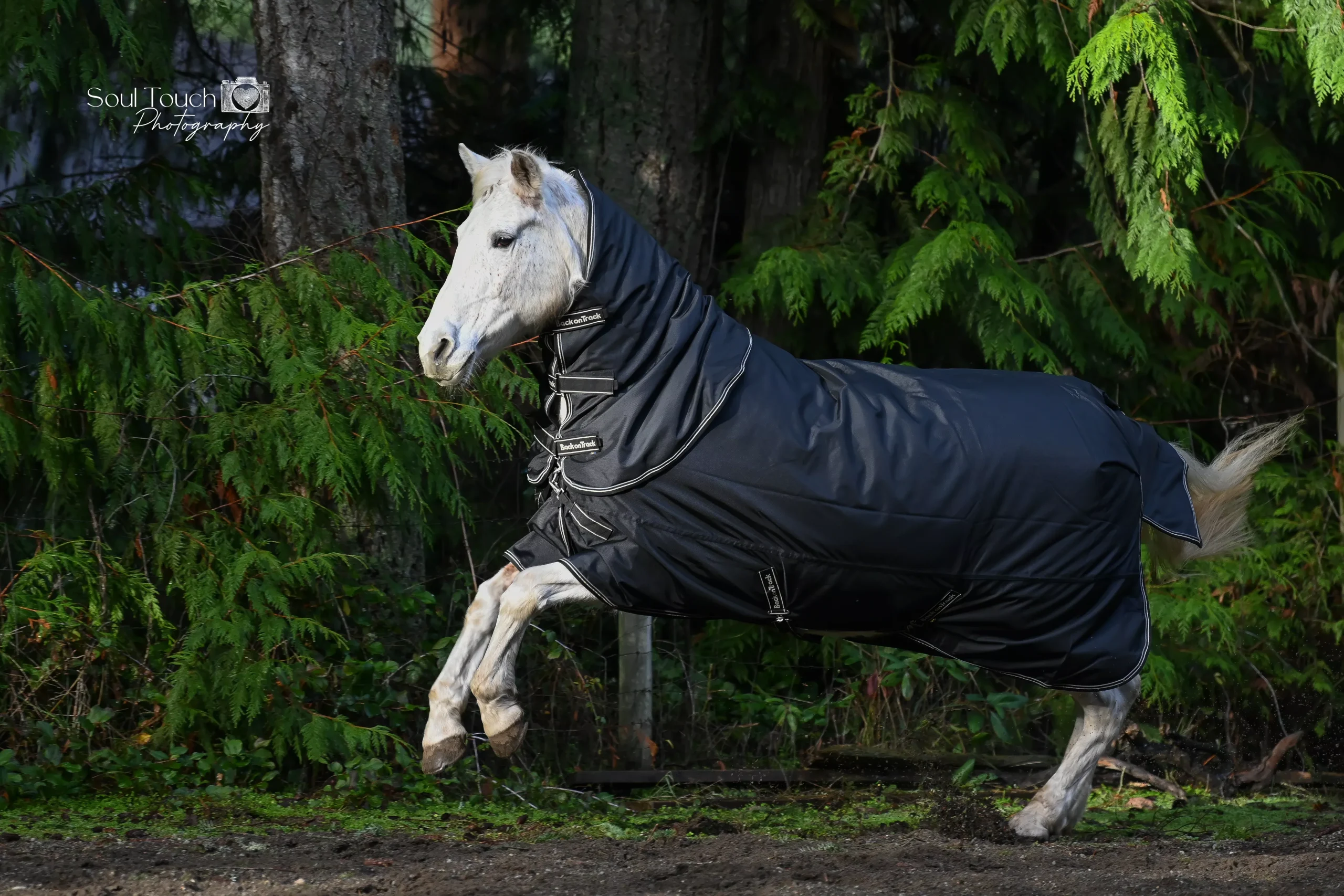 Back on Track Obsidian Turnout Blanket