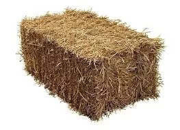 Barley Straw 3-String Bale 80lbs