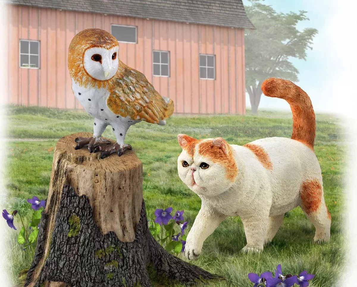 Barn Owl