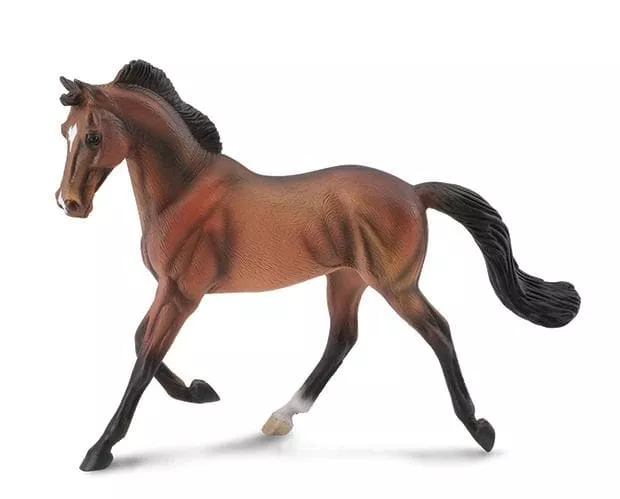 Bay Thoroughbred Mare