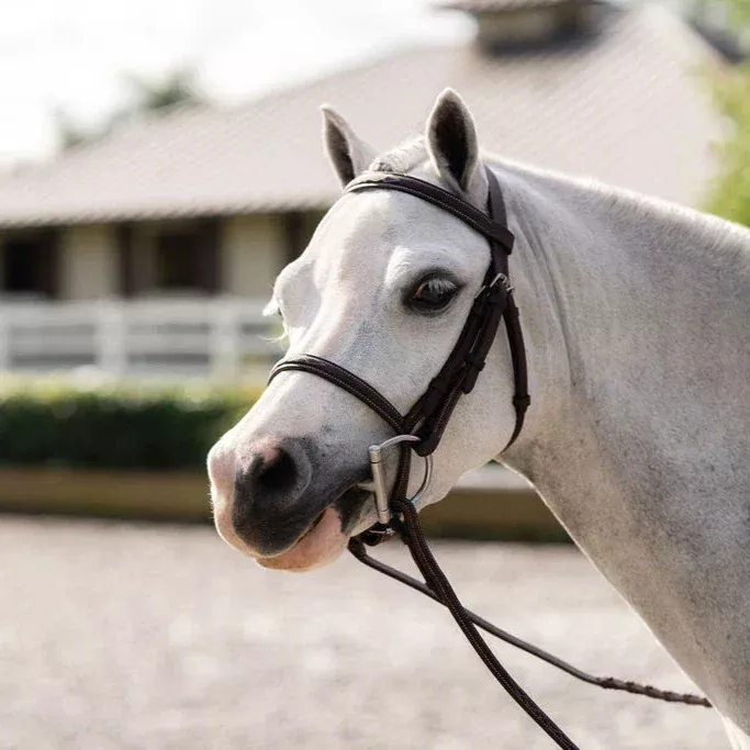 Belle & Bow Farnley Bridle