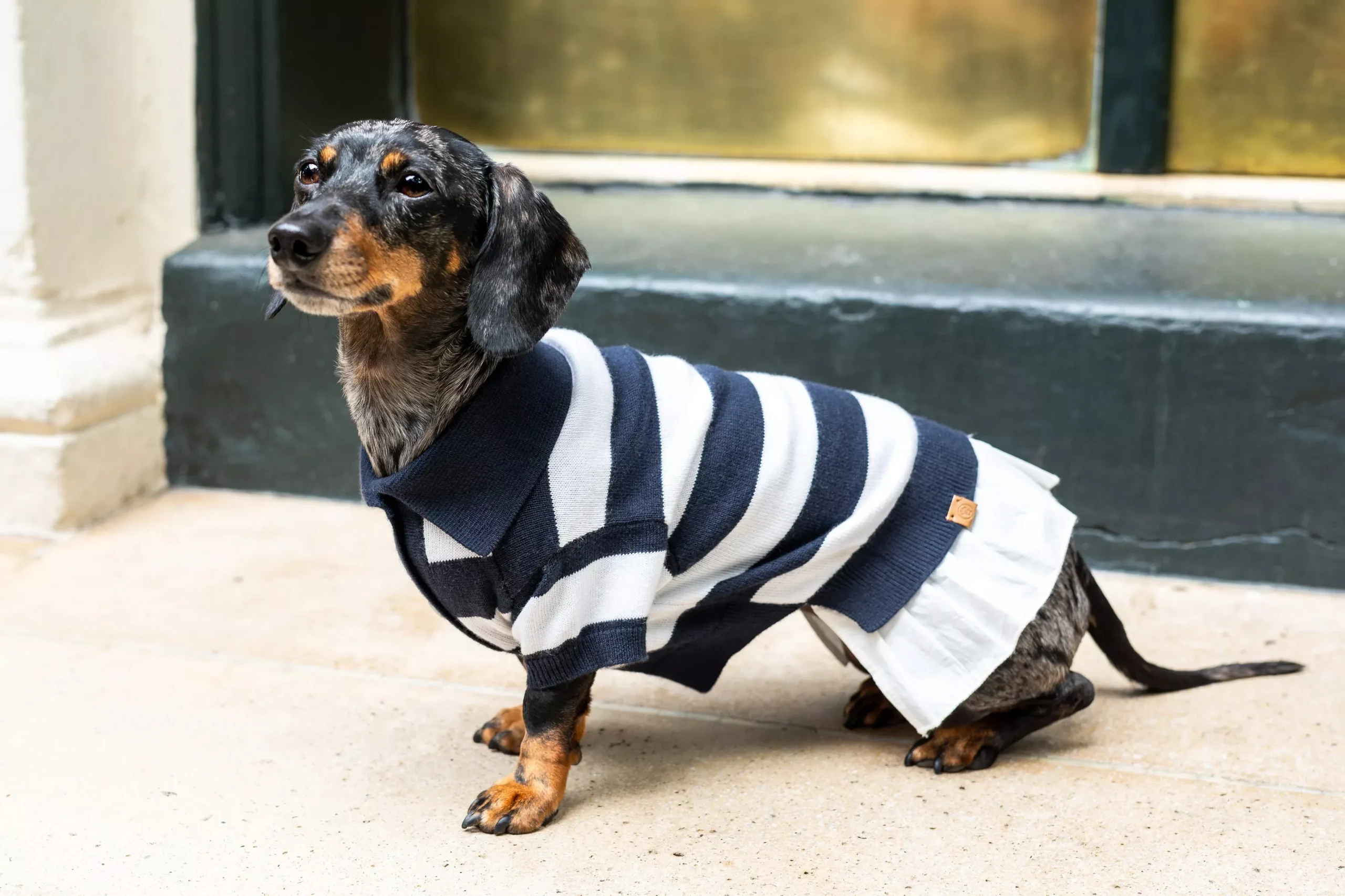 BESPOKE PAWS - ‘Gladys’ Cashmere blend Polo Dress