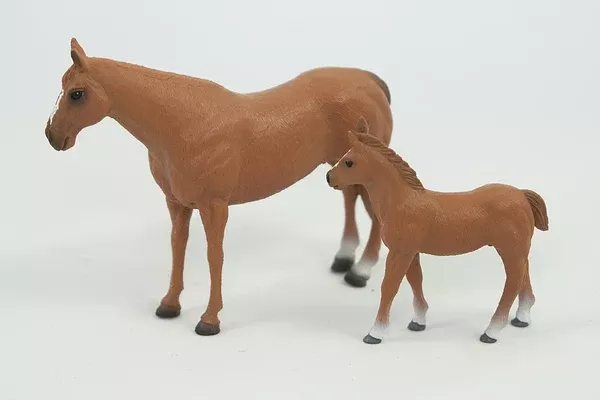Big Country Quarter Horse Mare & Colt