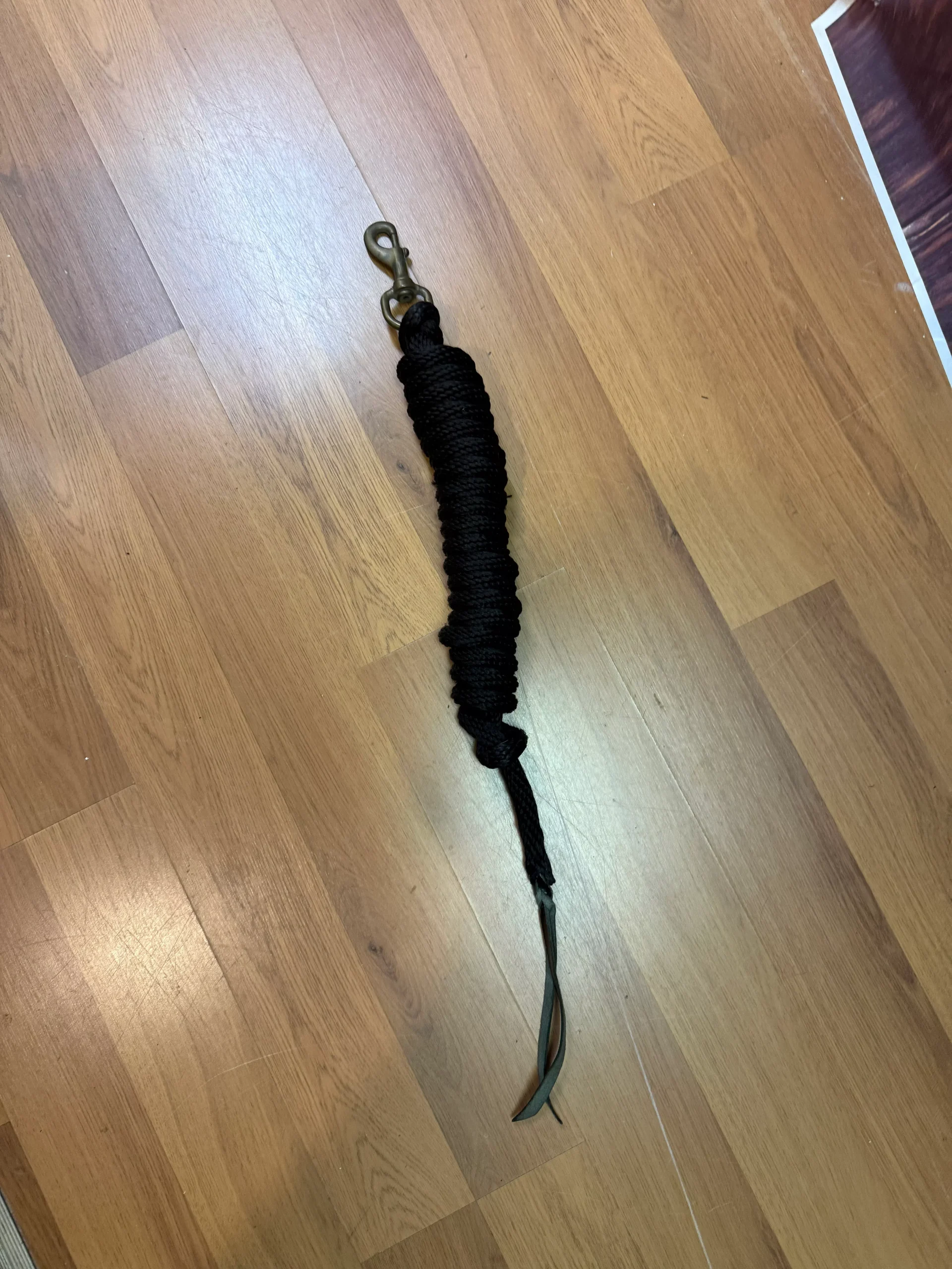 Black Cotton Lead rope with leather tails