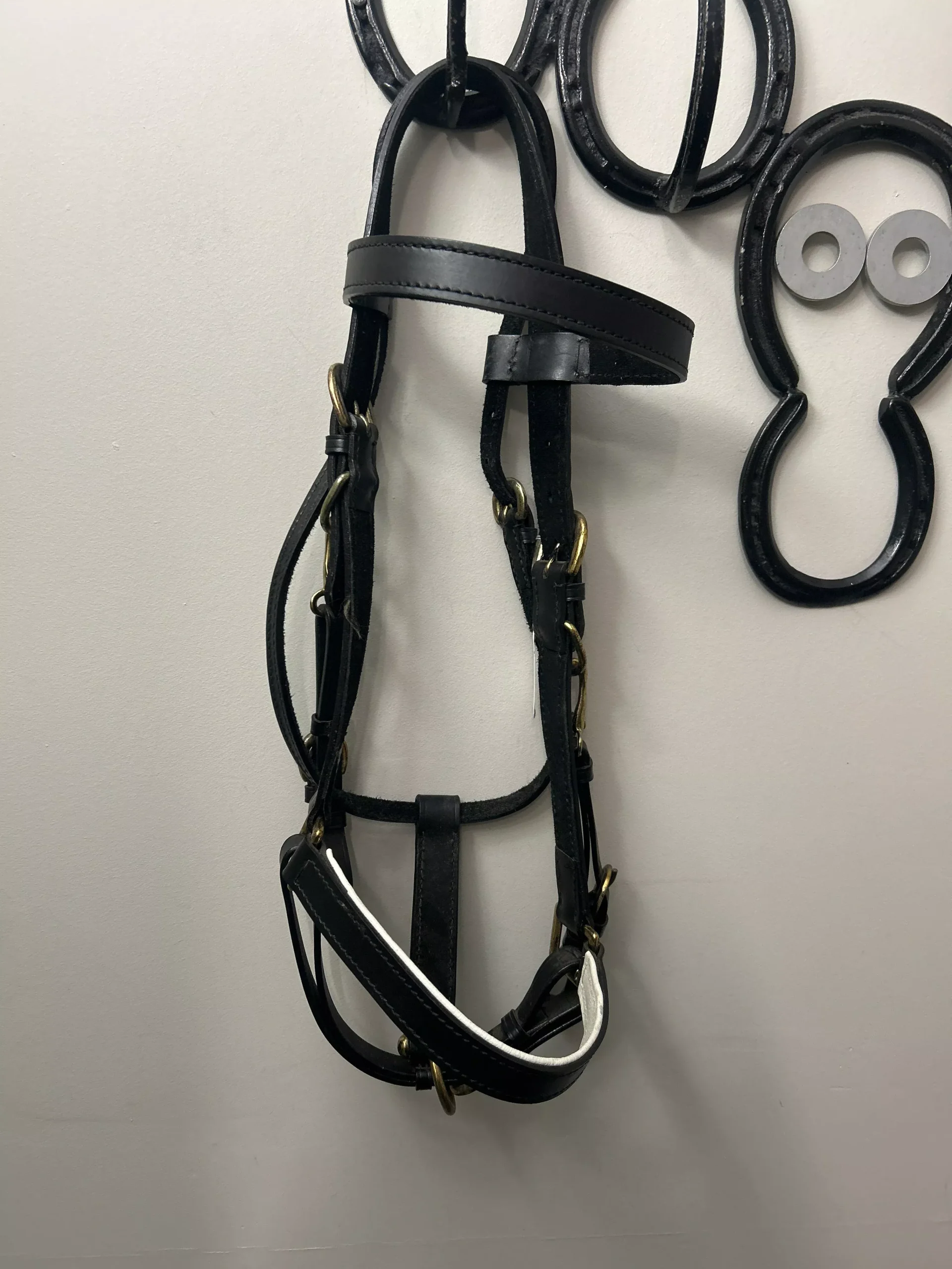 Black Leather Halter Bridle