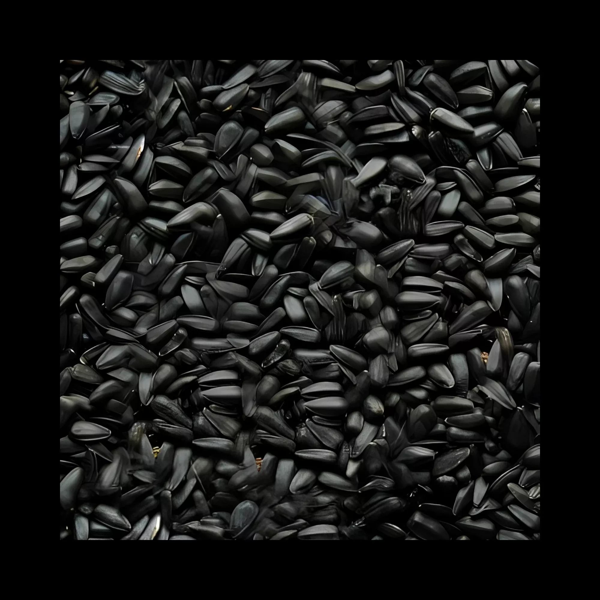 Black Oil Sunflower Bird Seed
