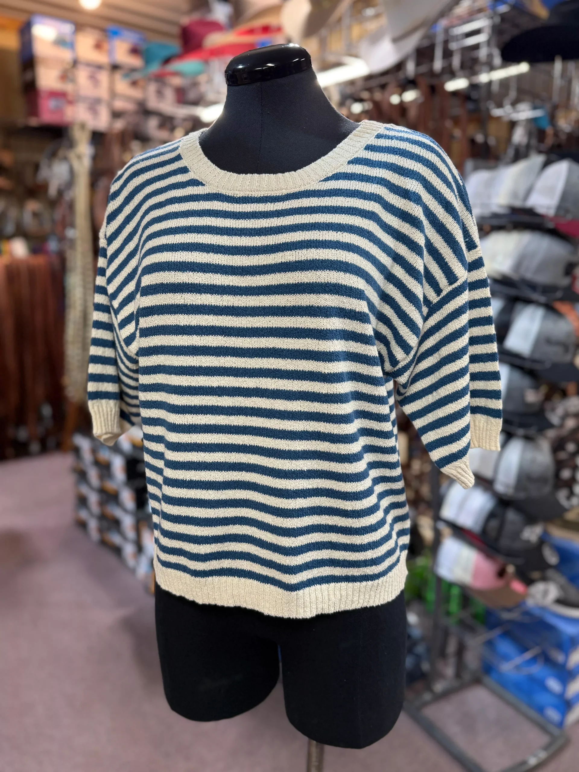 Blue Stripe Short Sleeve Sweater