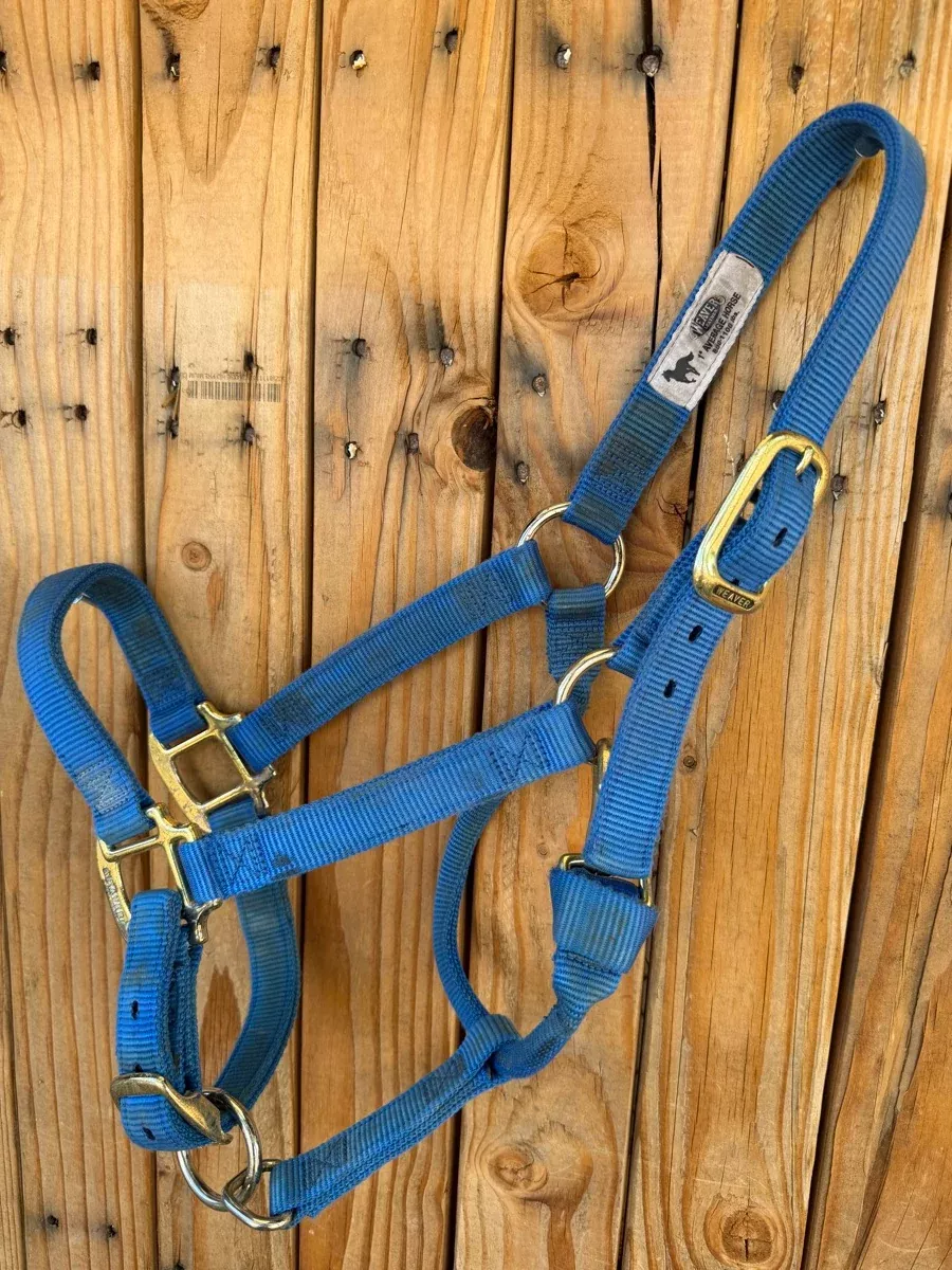 Blue Weaver 1 in. Adjustable Nylon Halter - Average Horse HL1164