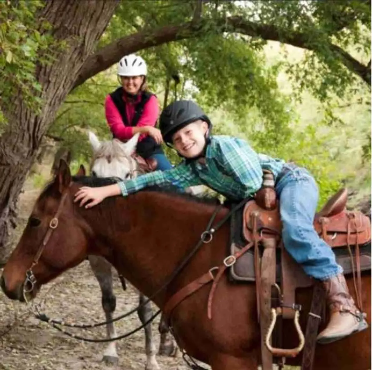 Booma Rein Flexible Western Rein Keeper