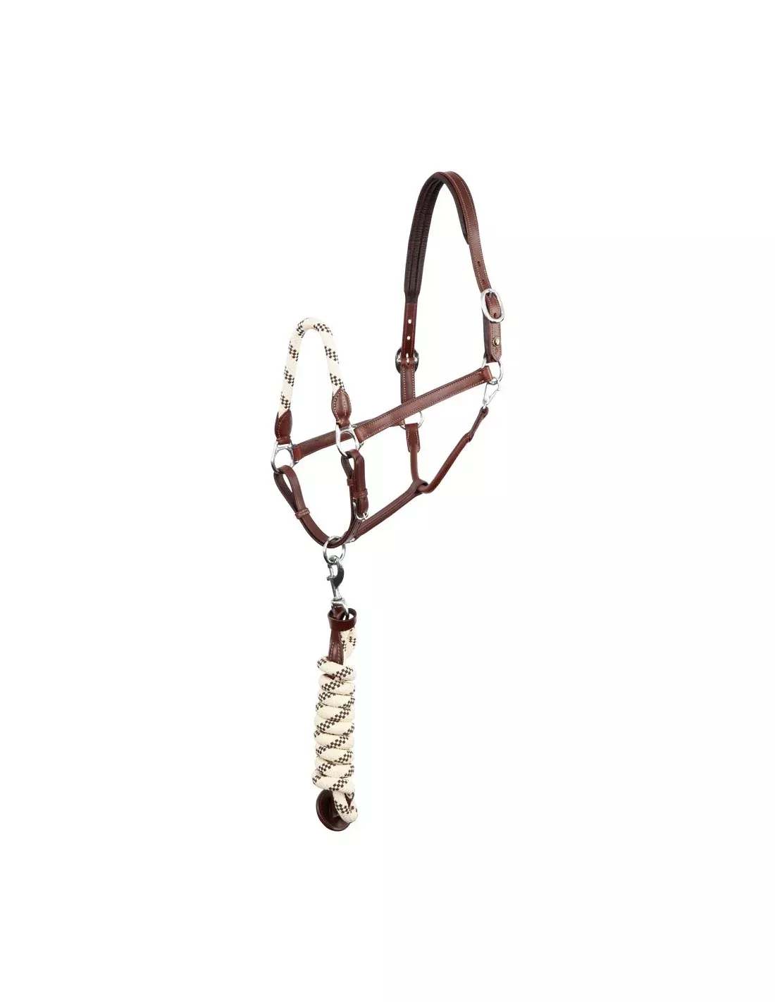BR Oak Leather Halter Set Dundee Cob (Halter and Matching Lead) - Gorgeous Set