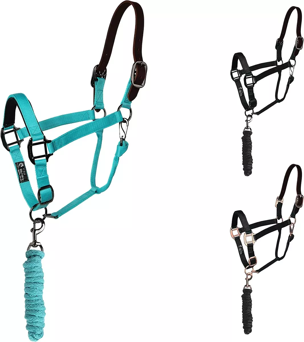 Breakaway Halter with Matching Lead Rope