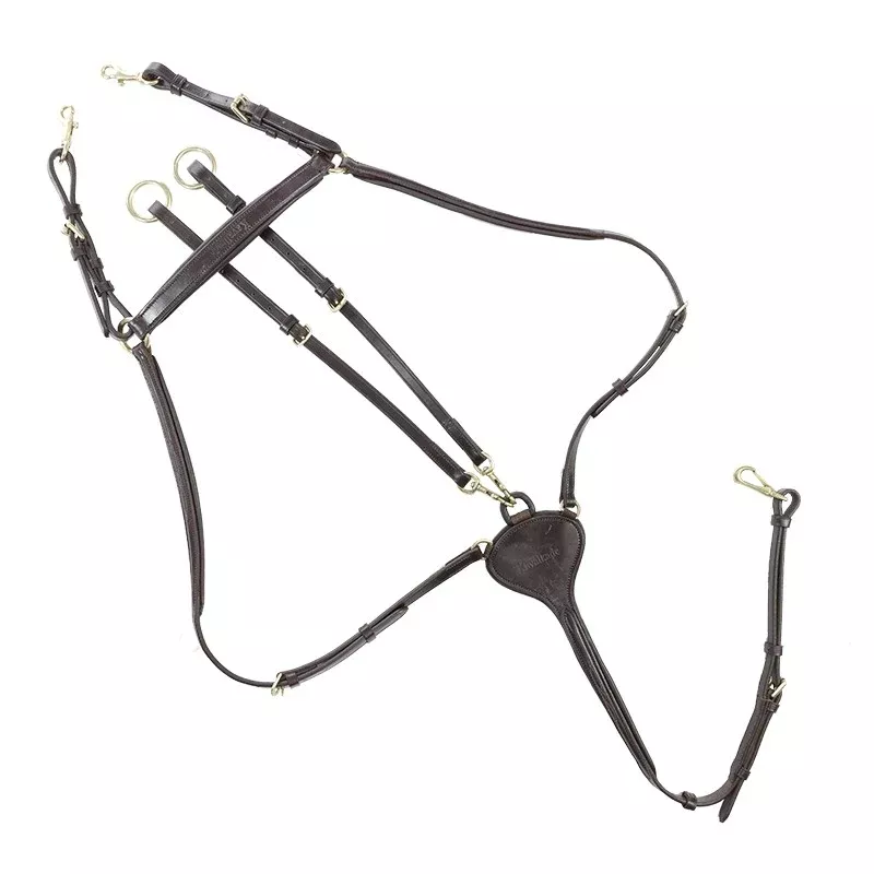 Breastplate Lorenz